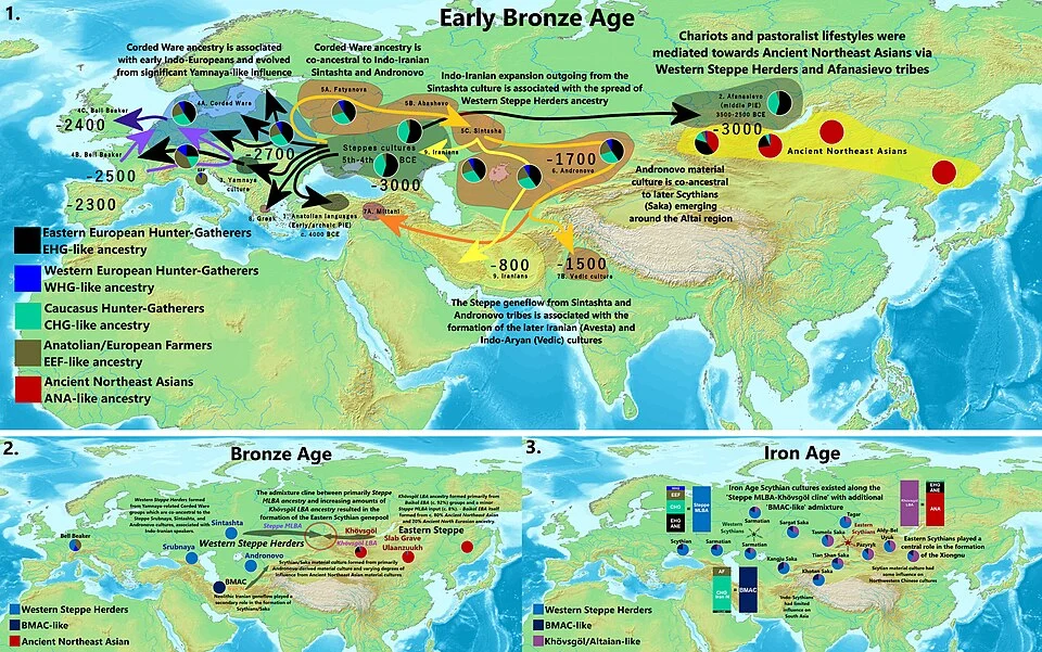 Infographic map showing ancient human migrations and ancestries across Eurasia during Early Bronze Age, Bronze Age, and Iron Age with a color legend.